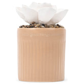 Demdaco diffuser base with beige ceramic and succulent for calm spaces