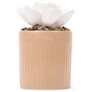 Demdaco diffuser base with beige ceramic and succulent for calm spaces