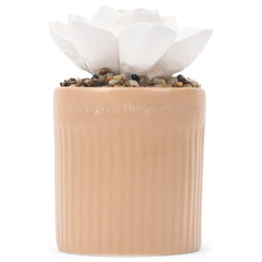 Demdaco diffuser base with beige ceramic and succulent for calm spaces