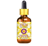 Deve Herbes Pure Scotch Pine oil bottle with dropper for easy aromatherapy use