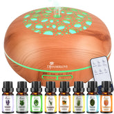 Diffuserlove remote control for easy timing and mode adjustments, ideal for living rooms.