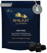 DLNIA Shilajit Gummies bottle close-up showing purity for energy support