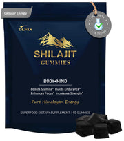 DLNIA Shilajit Gummies bottle close-up showing purity for energy support