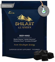 DLNIA Shilajit Gummies bottle close-up showing purity for energy support