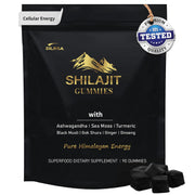 DLNIA Shilajit Gummies jar front view highlighting organic energy and overall wellness potential.
