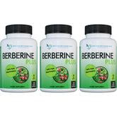 Berberine Plus bottle front shows 1200 mg potency for daily wellness