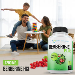 Close-up of Berberine Plus label highlighting single-ingredient Berberine HCl quality.