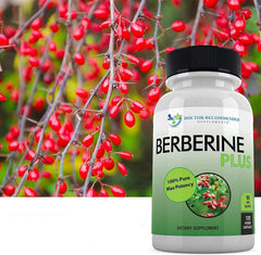 Doctor Recommended Supplements Berberine Plus bottle shows Made in USA quality commitment for trusted safety.