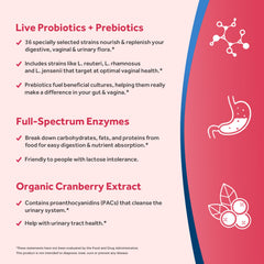 Doctor's Recipes Probiotics for Women cranberry enzymes illustration highlights digestive support