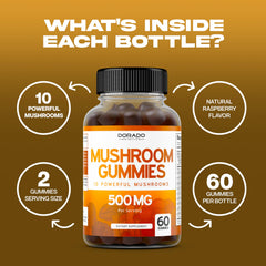 Dorado Nutrition gummies with Lions Mane and Cordyceps emphasizing brain-friendly possibilities.