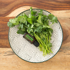 doTERRA Cilantro essential oil bottle in kitchen for meal prep aroma.