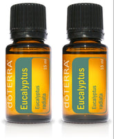 doTERRA Eucalyptus Radiata 15ml bottle supports clear breathing and air freshness