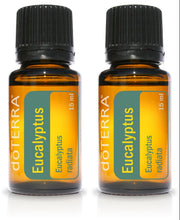doTERRA Eucalyptus Radiata 15ml bottle supports clear breathing and air freshness