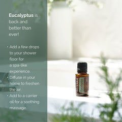 doTERRA Eucalyptus Radiata diffuser setup for a refreshing room aroma