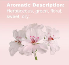 doTERRA Geranium essential oil dropper for precise application.