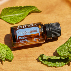 Two-pack doTERRA Peppermint essential oil box for convenient everyday use.