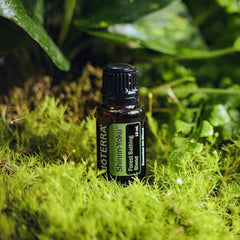 Diffuser releasing Shinrin-Yoku aroma for serene ambience.