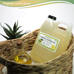 Dr Adorable Moringa Oil bottle closeup shows pure formula
