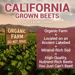 Dr. Berg beet powder closeup showing rich deep red color from real beets.