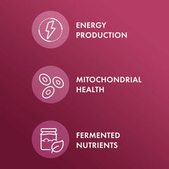 Fermentation process image showing pre-digested beets for better absorption
