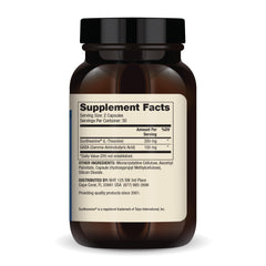 Close-up of Dr. Mercola L-Theanine Plus GABA capsules for calm focus.