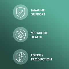 Dr. Mercola L-Lysine label emphasizes soy-free premium quality.