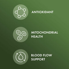 Dr. Mercola Pine Bark Extract label notes 60% procyanidins.