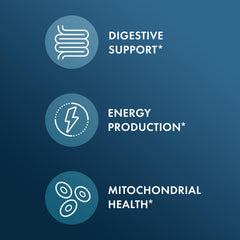Dr. Mercola Resistant Starch ingredients green banana and tigernut provide plant-based fiber.