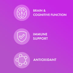 Pterostilbene antioxidant graphic emphasizing blueberry-derived support