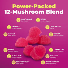 DR. MORITZ Lions Mane Gummies kid-friendly texture for kids 4+