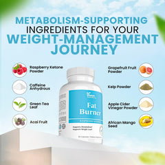 DR VITAMIN SOLUTIONS green tea capsules providing morning energy support.