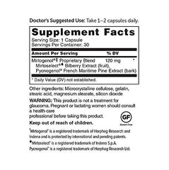 DR.WHITAKER Pycnogenol bilberry capsule close-up suggests retinal support
