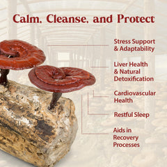 Dragon Herbs Duanwood Reishi Drops triple extraction note emphasizes full spectrum
