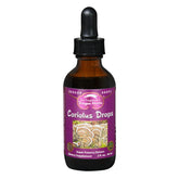 Dragon Herbs Turkey Tail drops bottle-pour: fast-dissolving tincture for daily use.