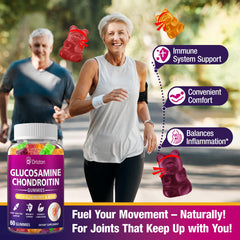 Drloton glucosamine chondroitin gummies ingredients highlighting core joint nutrients