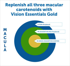 DR.WHITAKER Vision Essentials Gold bottle pouring capsules into hand