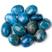 DUQGUHO Blue Apatite irregular polished stones 0.45 lb decorative and calming for spaces.