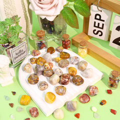 DUQGUHO Crazy Lace Agate stones shown in sunlit reflections for home decor