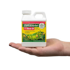 Dyna-Gro Neem Oil helps manage aphids and mites on garden plants.