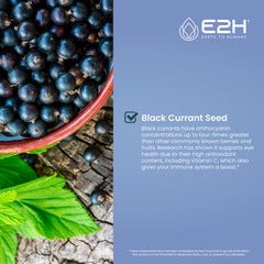 E2H cold-press extraction badge highlights 1:4 potency.