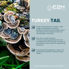 Close-up of E2H Turkey Tail label on the extract bottle for trusted quality.