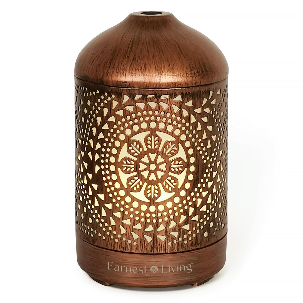 Earnest Living 100 ml diffuser provides gentle aromatherapy mist for living spaces.