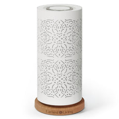 Earnest Living waterless diffuser 100ml with sculpted metal shell for elegant room scent.
