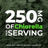 Earth Circle Organics chlorella tablets broken cell wall close-up for absorption.