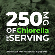 Earth Circle Organics chlorella tablets broken cell wall close-up for absorption.