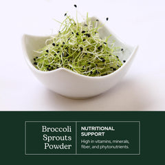 Eclectic Institute broccoli sprouts powder scoop demonstrates easy measuring for daily nutrition