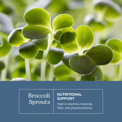 Eclectic Institute freeze-dried broccoli sprouts highlight preserved nutrients and potency.