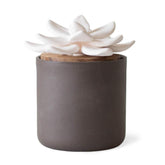 Edens Garden Charcoal Ceramic Bloom Diffuser image, showcasing elegant calm spaces.