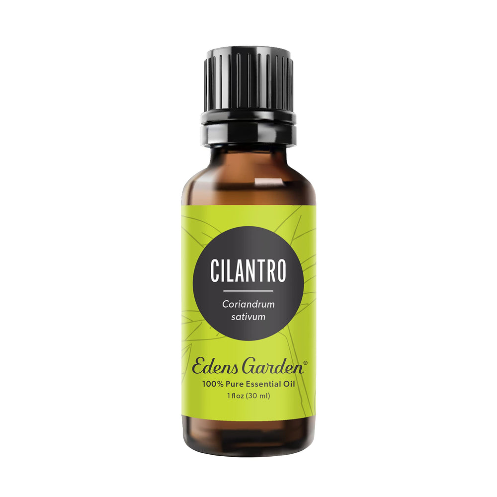 Edens Garden Cilantro Oil bottle for refreshing aromatherapy and blends