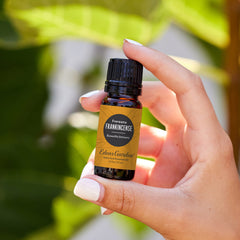 Edens Garden Frankincense Frereana diffuser releasing a woody aroma.